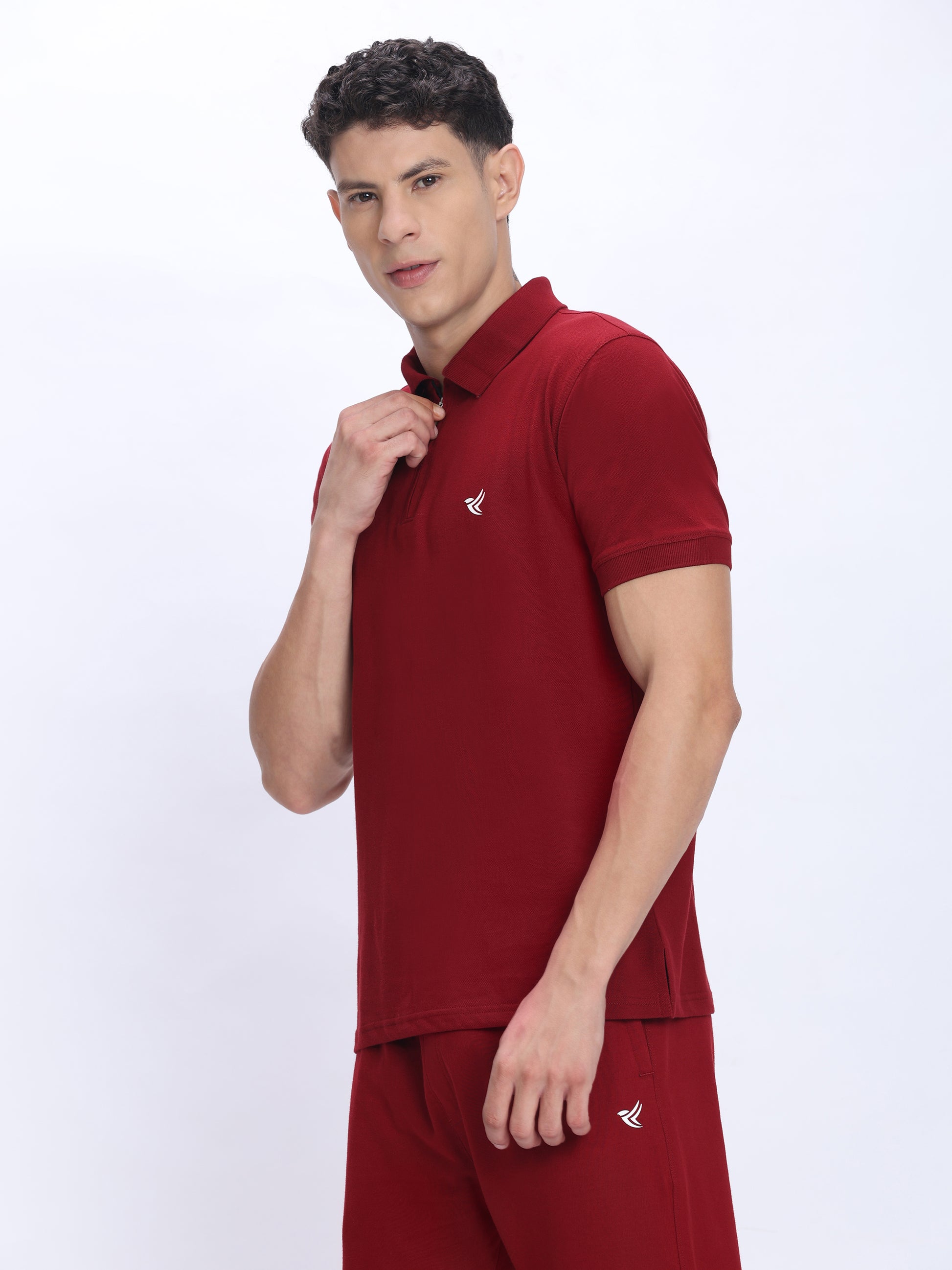 Mens Cotton Polo T Shirt Wholesale India | 100% Cotton - DPASSION.COM