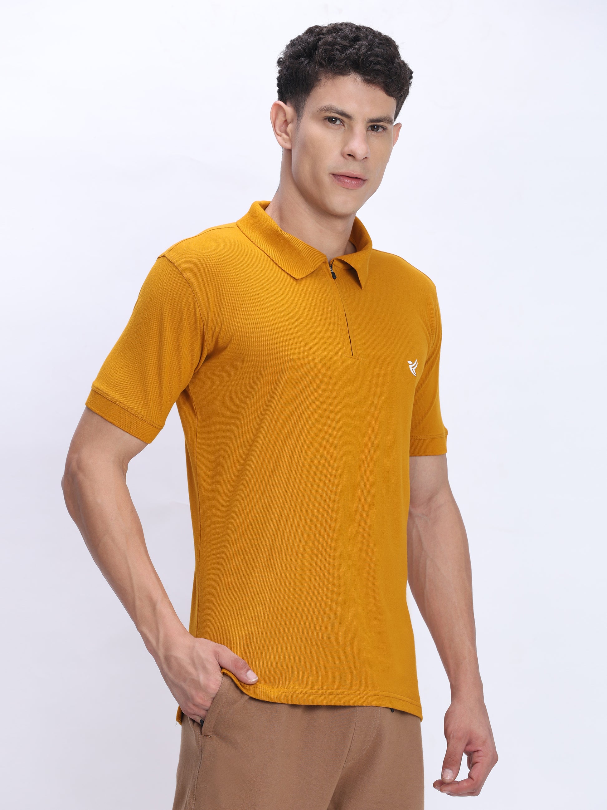 Mens Cotton Polo T Shirt Wholesale India | 100% Cotton - DPASSION.COM