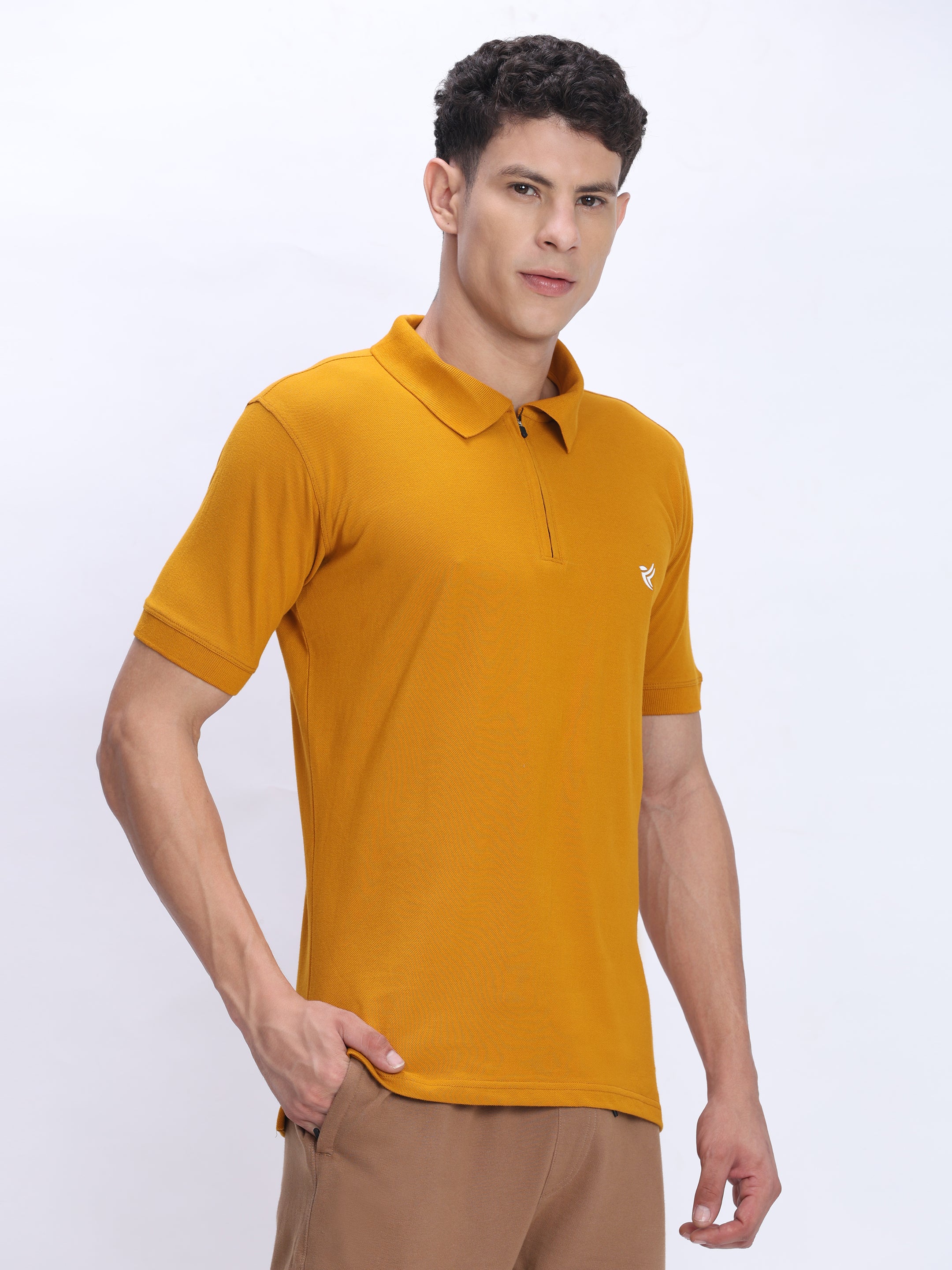 Mens Cotton Polo T Shirt Wholesale India | 100% Cotton - DPASSION.COM