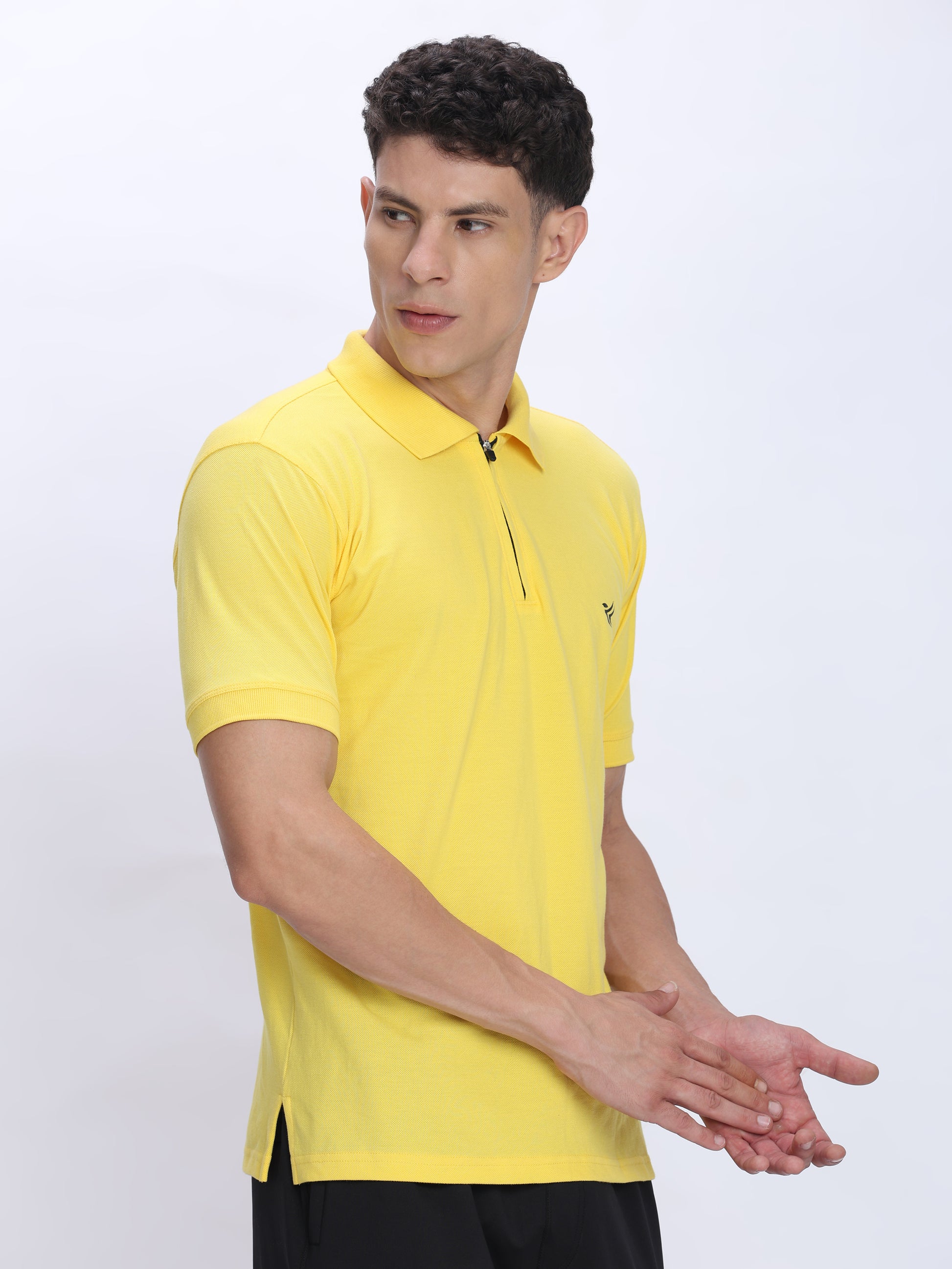 Mens Cotton Polo T Shirt Wholesale India | 100% Cotton - DPASSION.COM