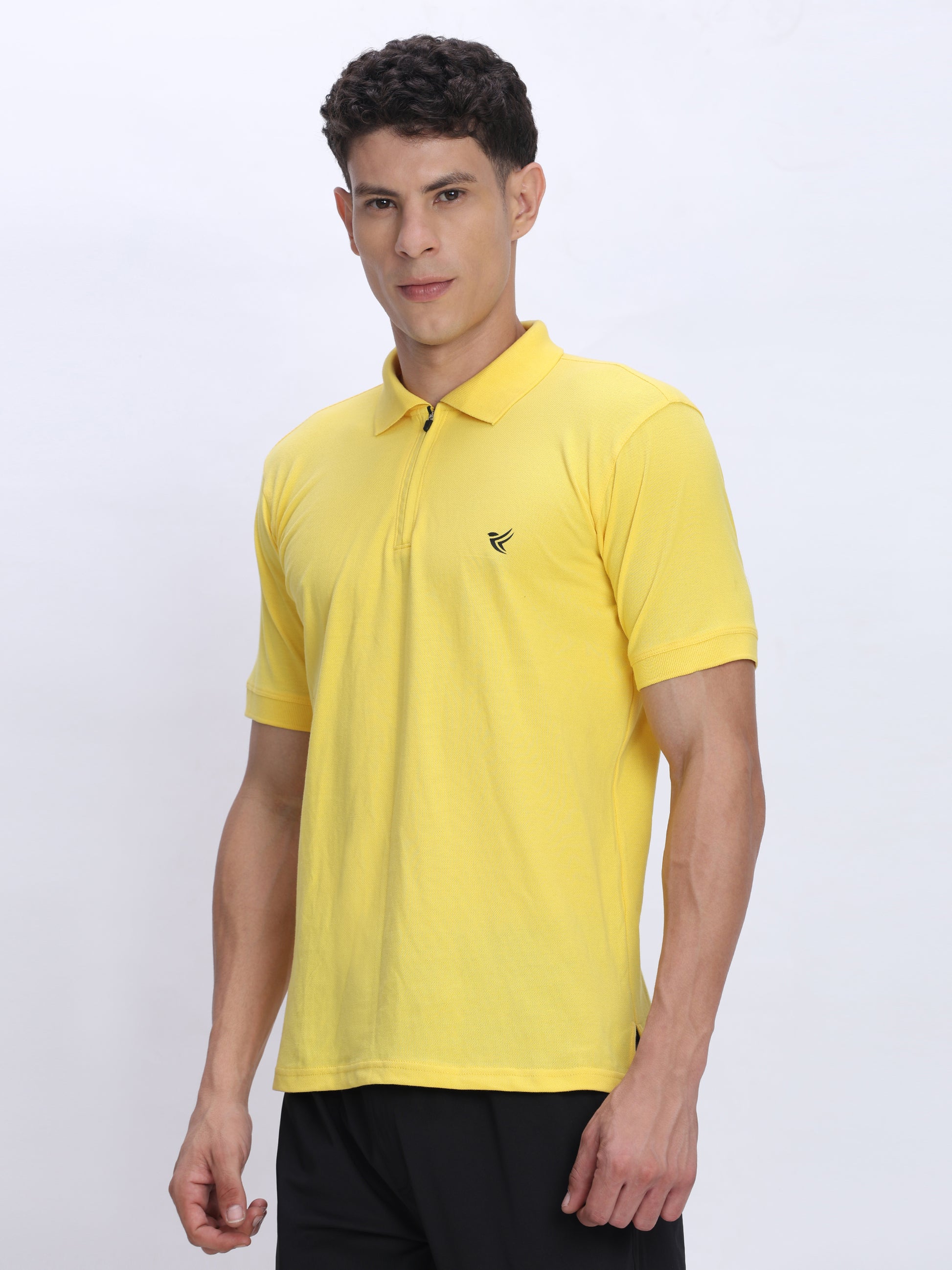 Mens Cotton Polo T Shirt Wholesale India | 100% Cotton - DPASSION.COM